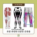 문산해나무한의원 이미지