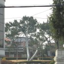 거리박물관 이미지