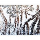 지동마을 이미지