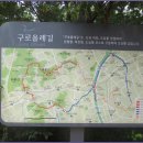 올레길 산림형 3코스 이미지