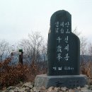 성주밧데리 이미지