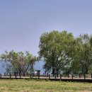 삽교호 호수공원 야구장 이미지