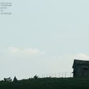 쿵쿵따 Daum카페