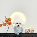 마이리틀멍 이미지