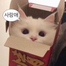 정산투 | [우리은행 대학생 홍보대사] 캠우리 6기 연말 정산 aka 찐 후기 (*^ω^*)