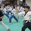 경희대 향남태권도 이미지