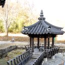 영천 귀애정 이미지