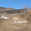 힘찬흑염소농장 이미지