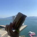 오동동136 | 숨은 맛집 천국 여수여행 2일차 : 오동도, 중앙동 &#39;행복파스타&#39;, 이순신광장 오션뷰카페 &#39;퀸스트리트...