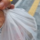 한솥도시락 고령점 이미지