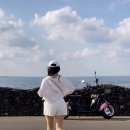 도항선 대합실 | 제주 우도 가볼만한 곳 코코나라 전기스쿠터 시간 무제한 대여 내돈내산