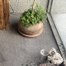 문라이트스톤 이미지
