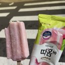 최동인 | 9월 2주차의 삶