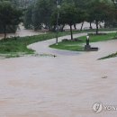 오산천 산책로 이미지