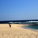 동해바다 이미지