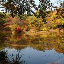 깊어가는 가을에 조선왕릉 장릉을 찾아서... 이미지