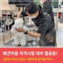 에스디애견미용학원