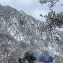 (주)올림코퍼레이션 | [쉘위하이크 Vol.5]설산 추천 운악산 눈꽃 산행 하이킹 세션 후기