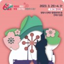 축제로 만나는 부여 여행 이미지