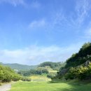 그린장 | 💚히든밸리cc