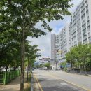 선운해광 이미지