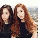 금성크리스탈 이미지