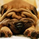 더3.0피부과의원 이미지