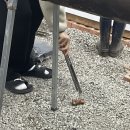 나리네포차 네이버블로그
