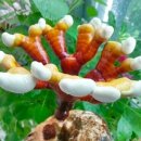 현석농장 이미지