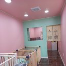 펫미리애견샵 이미지