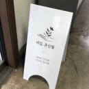 네일, 춘삼월