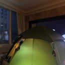 접도로 | 진도 접도 백패킹 끌려간 후기