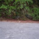 청향소림산장 이미지