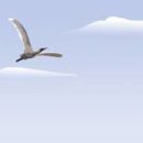 빛살과학 이미지