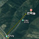 편백산림욕장 공중화장실 | 전라도 여행지 추천 부귀 편백숲 산림욕장 반려견동반 되는 걷기좋은길