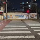뉴프렌치모터스