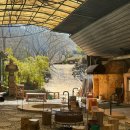 땡글땡굴 | 대구 근교 실내나들이 청도 가볼만한곳! 군불로 찜질방 식당 후기