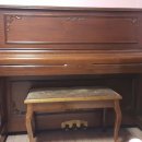 새들피아노 이미지