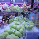 찌꼬뽀꼬 목동점 이미지