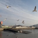 석모도상주해안길 이미지