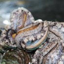 바다마을 이미지