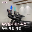 비그룹 | 부평필라테스 추천 | 호주필라테스 부평동암점 그룹레슨 후기 (주차/회원관리/멀티회원권까지)