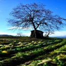 호수가 보이는 집 이미지