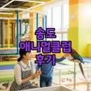 애니멀타임 | 애니멀클럽 송도 실내동물원 키즈카페 후기