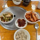 초가집손칼국수 이미지