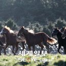 이제원 목장 이미지