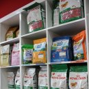 위드독스 샵 이미지