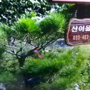 산여울민박 이미지