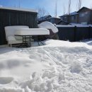 리오목장 이미지