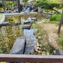 사가정 센트럴 아이파크 이미지